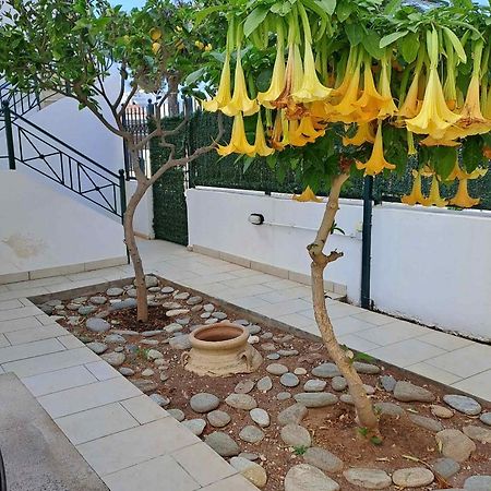 Dimitris Place Near Athens Airport コロピオン エクステリア 写真