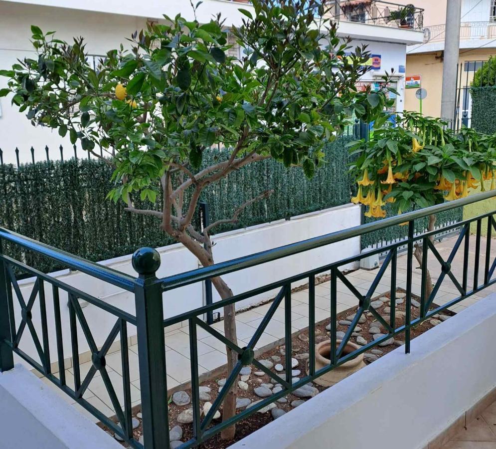 Dimitris Place Near Athens Airport コロピオン エクステリア 写真