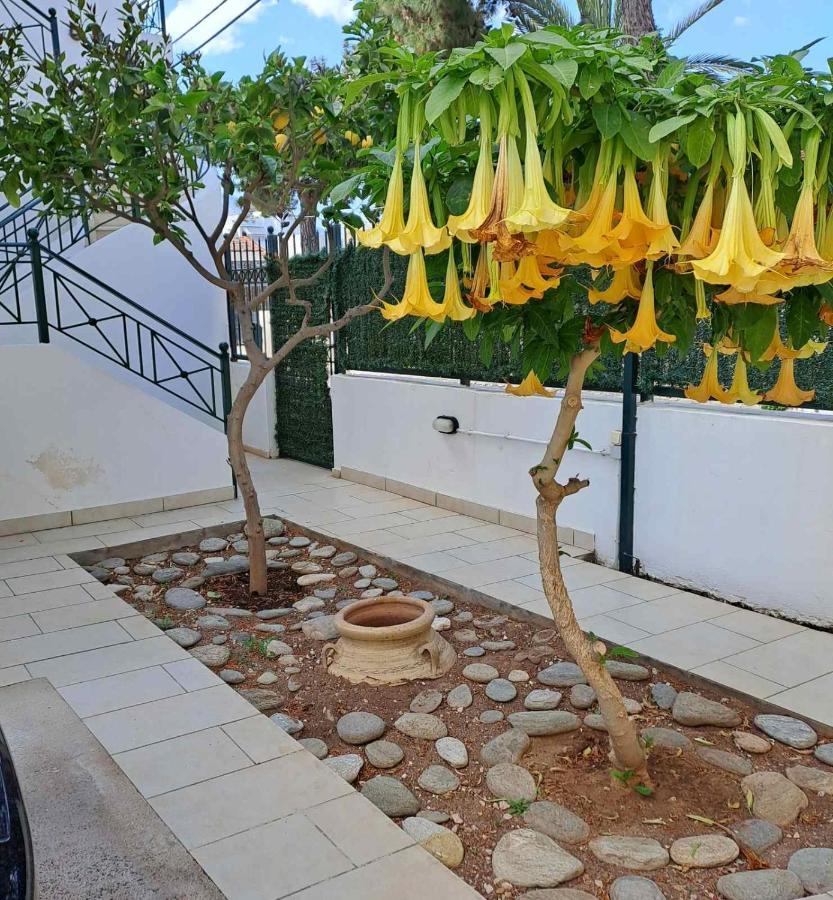 Dimitris Place Near Athens Airport コロピオン エクステリア 写真